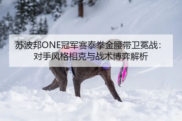 苏波邦ONE冠军赛泰拳金腰带卫冕战：对手风格相克与战术博弈解析